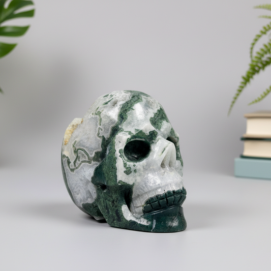 Large Moss Agate Druzy Skull Healing Crystal Carving 1218g