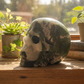 Large Moss Agate Druzy Skull Healing Crystal Carving 1218g