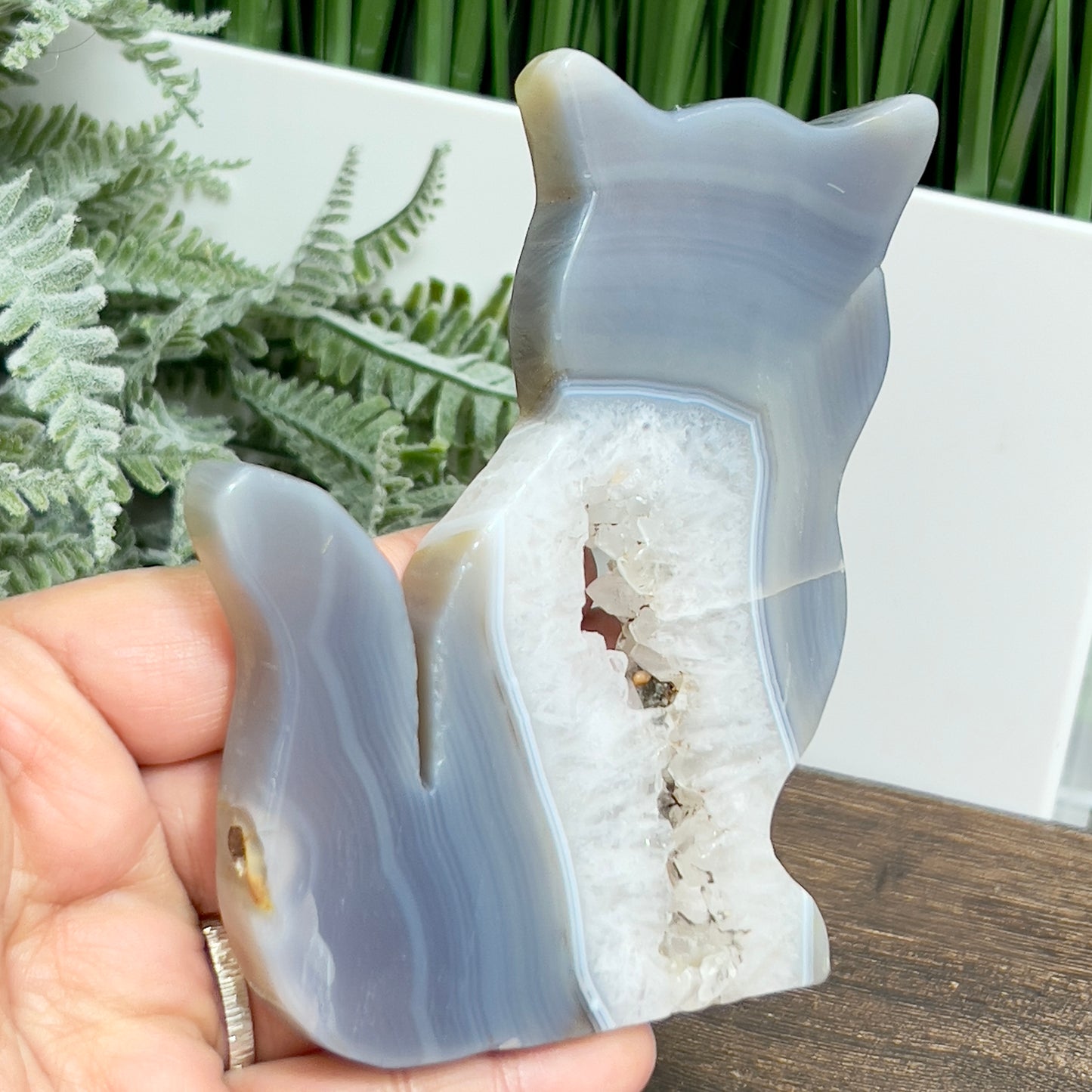 Agate Quartz Cat Healing Crystal Animal Carving 202g