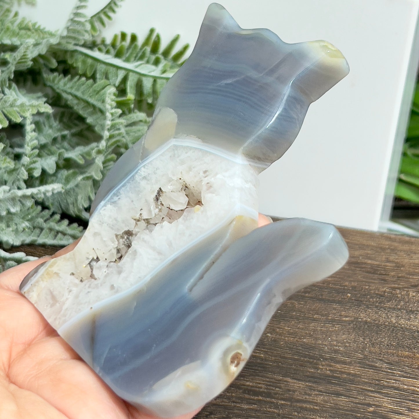 Agate Quartz Cat Healing Crystal Animal Carving 202g