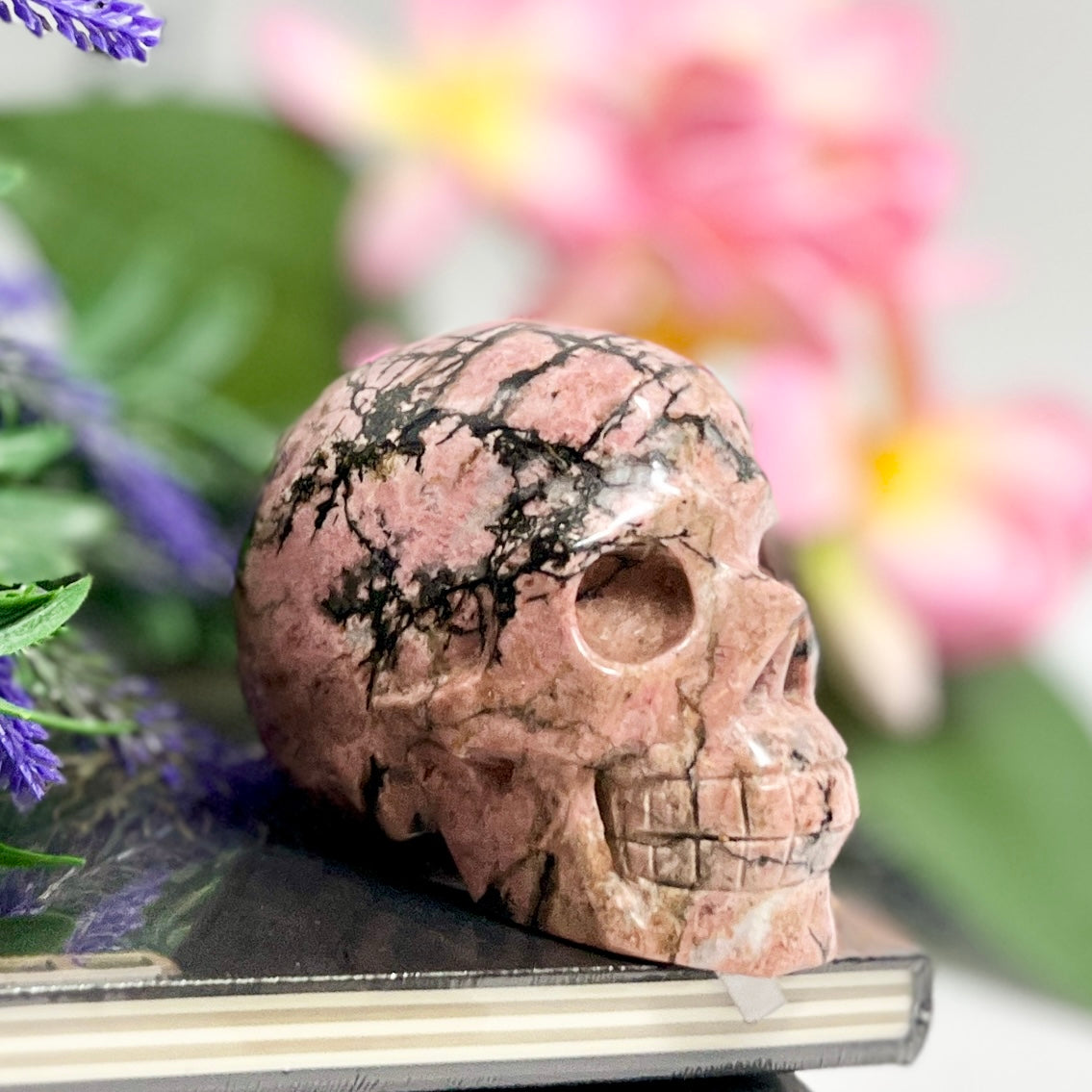 Rhodonite Skull Healing Crystal Carving 957g