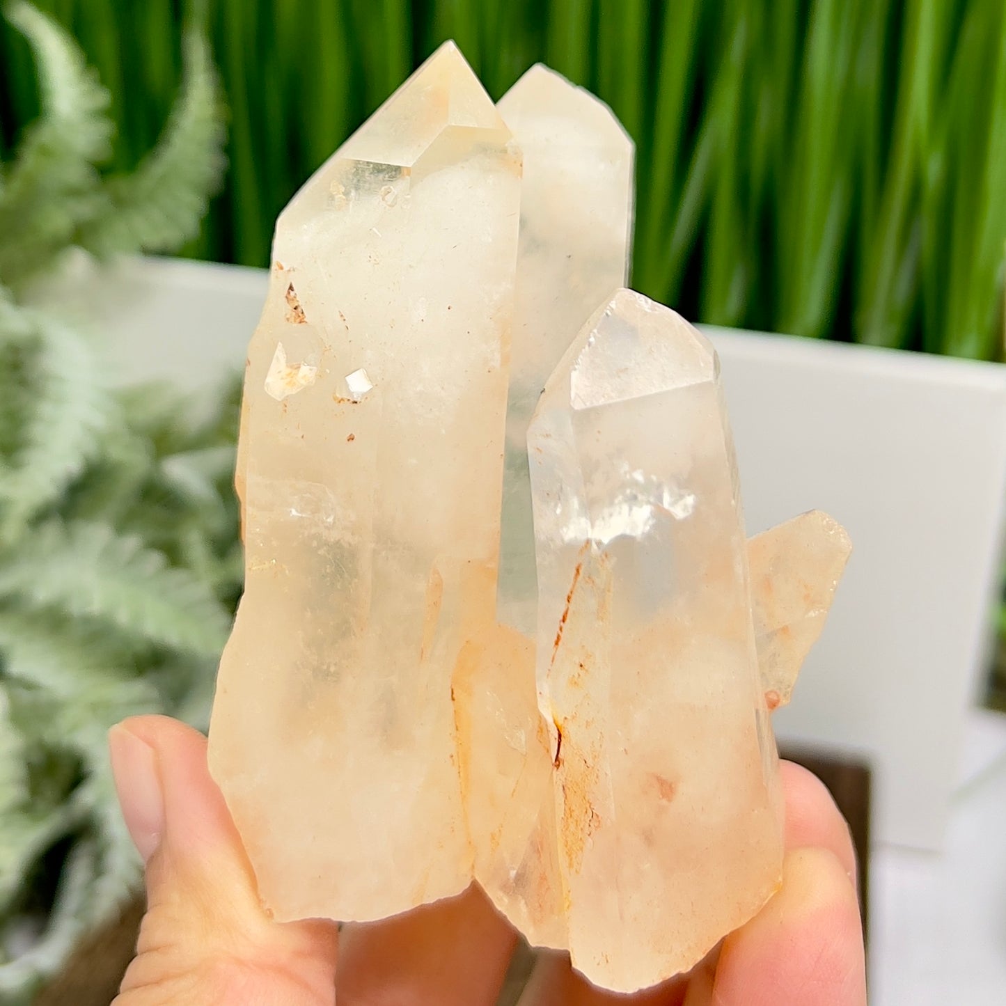 Clear Quartz Cluster Natural Raw Specimen Crystal 220g