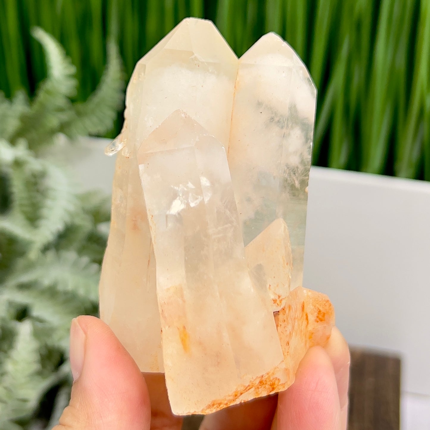 Clear Quartz Cluster Natural Raw Specimen Crystal 220g