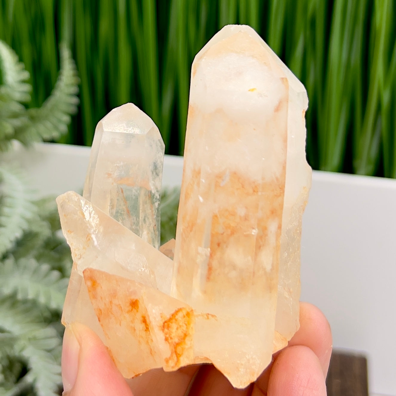 Clear Quartz Cluster Natural Raw Specimen Crystal 220g
