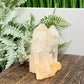 Clear Quartz Cluster Natural Raw Specimen Crystal 220g