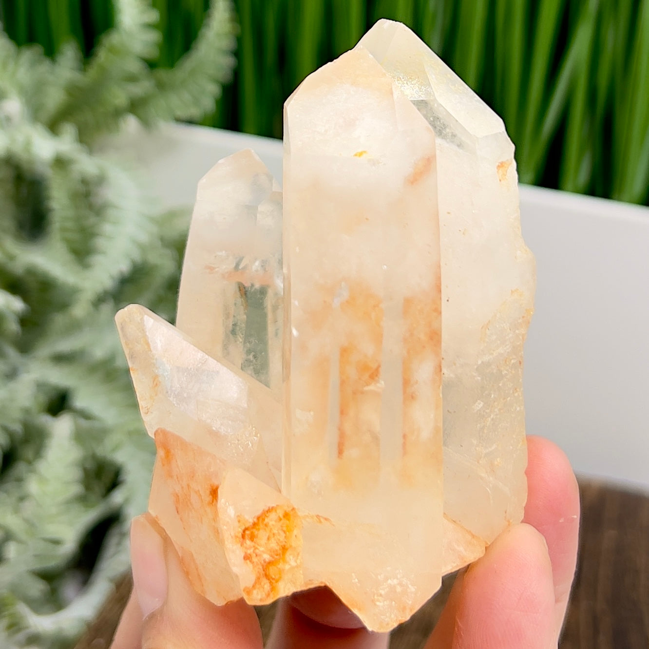Clear Quartz Cluster Natural Raw Specimen Crystal 220g