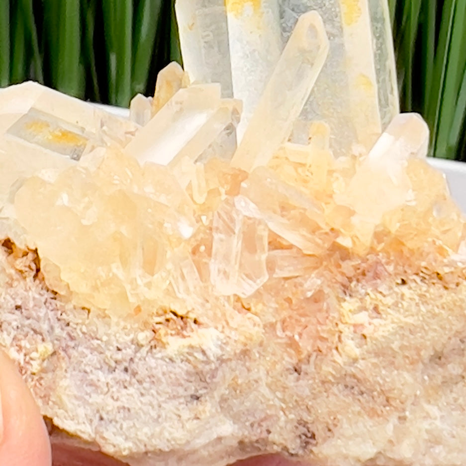 Clear Quartz Cluster Natural Raw Specimen Crystal 80g