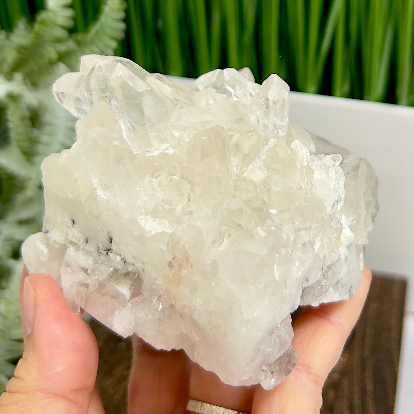 Clear Quartz Cluster Natural Raw Specimen Crystal 460g