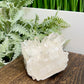 Clear Quartz Cluster Natural Raw Specimen Crystal 460g
