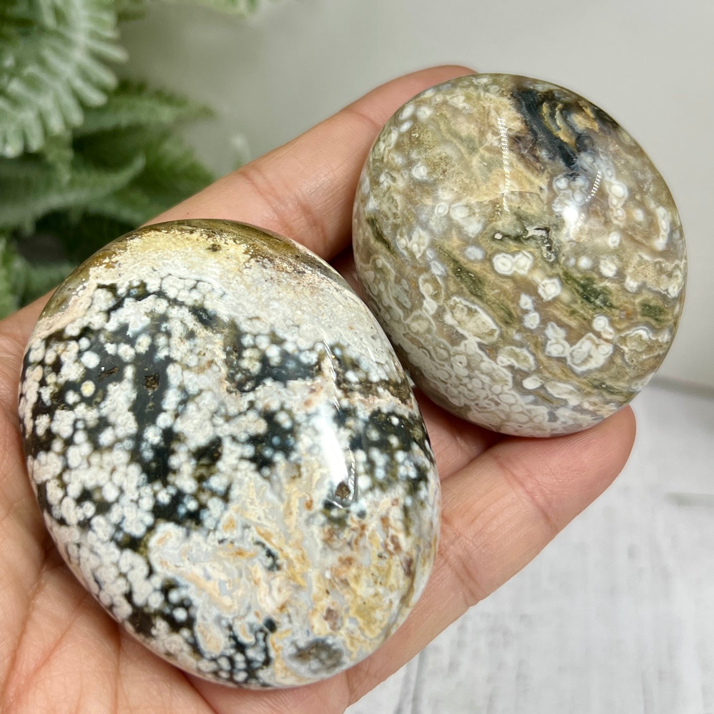 Bubble Ocean Sea Orbicular Jasper Palm Stones Worry Crystals YOU CHOOSE