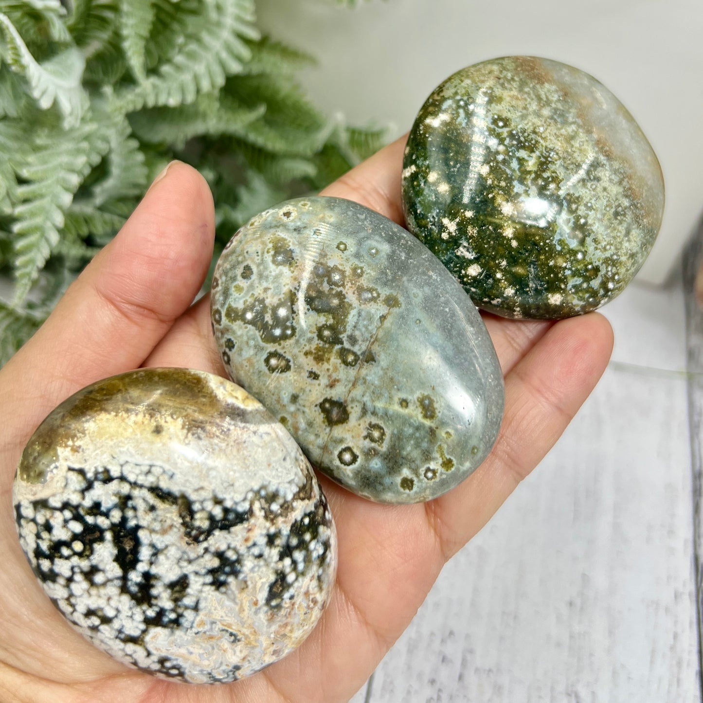 Bubble Ocean Sea Orbicular Jasper Palm Stones Worry Crystals YOU CHOOSE