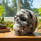 Black Tourmaline in Quartz Skull Hollow Jaw Healing Crystal Carving 715g