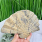 Picture Jasper Gemstone Fan with Stand Crystal Carving 619g