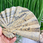 Picture Jasper Gemstone Fan with Stand Crystal Carving 619g