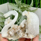 Rams Horn Selenite Gypsum RARE Raw Specimen Natural Crystal 237g