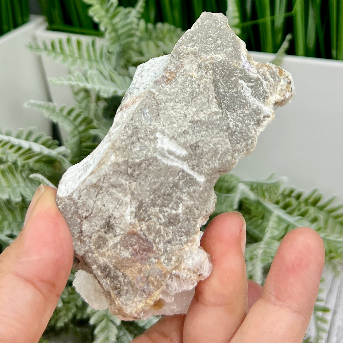 Rams Horn Selenite Gypsum RARE Raw Specimen Natural Crystal 237g