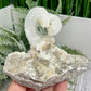 Rams Horn Selenite Gypsum RARE Raw Specimen Natural Crystal 268g