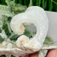 Rams Horn Selenite Gypsum RARE Raw Specimen Natural Crystal 268g