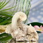 Rams Horn Selenite Gypsum RARE Raw Specimen Natural Crystal 464g