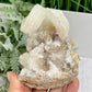 Rams Horn Selenite Gypsum RARE Raw Specimen Natural Crystal 464g