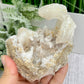 Rams Horn Selenite Gypsum RARE Raw Specimen Natural Crystal 464g