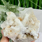 Rams Horn Selenite Large Gypsum RARE Raw Specimen Natural Crystal 822g
