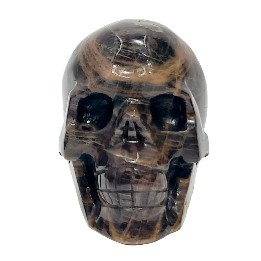 Black Moonstone Skull Healing Crystal Carving 738g
