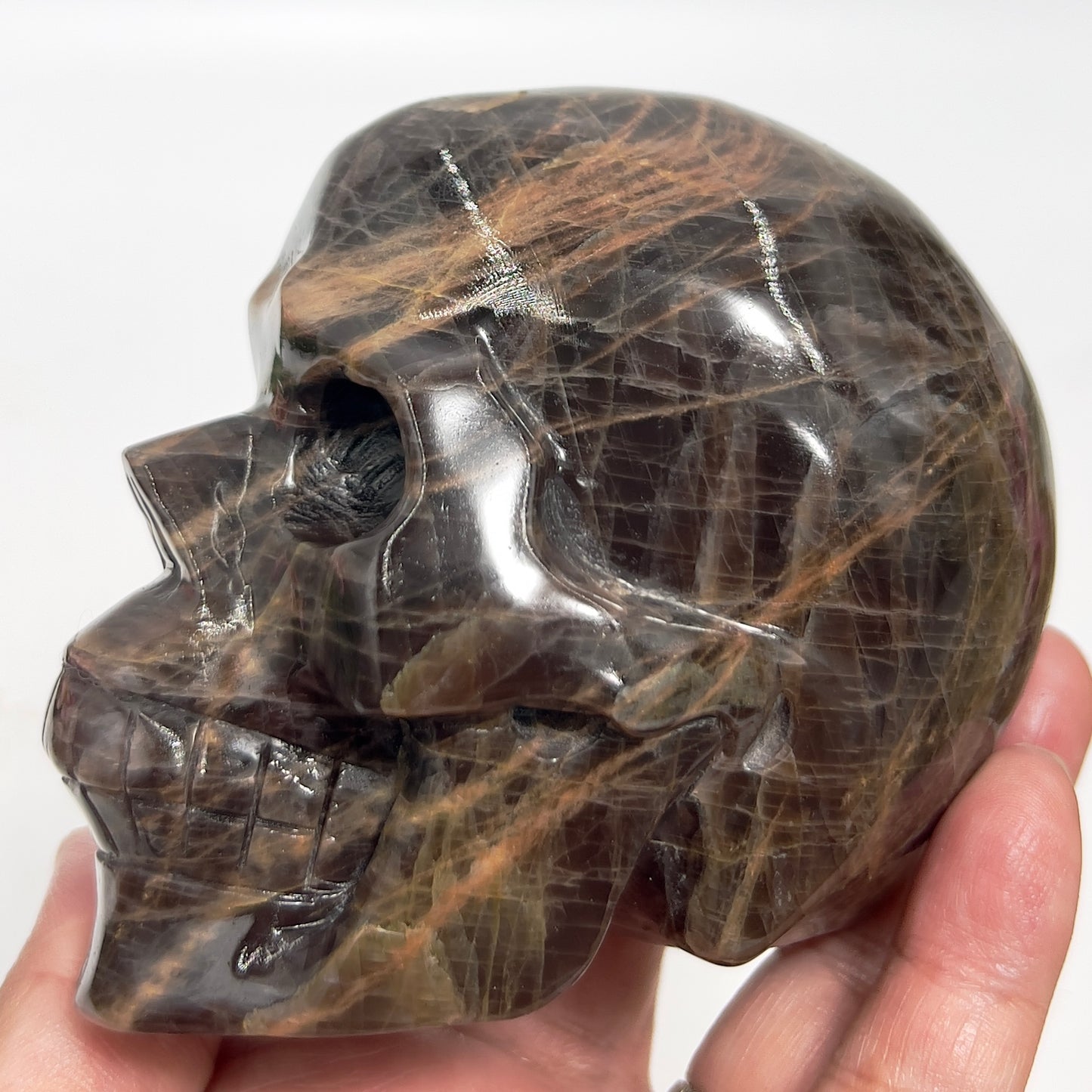 Black Moonstone Skull Healing Crystal Carving 738g