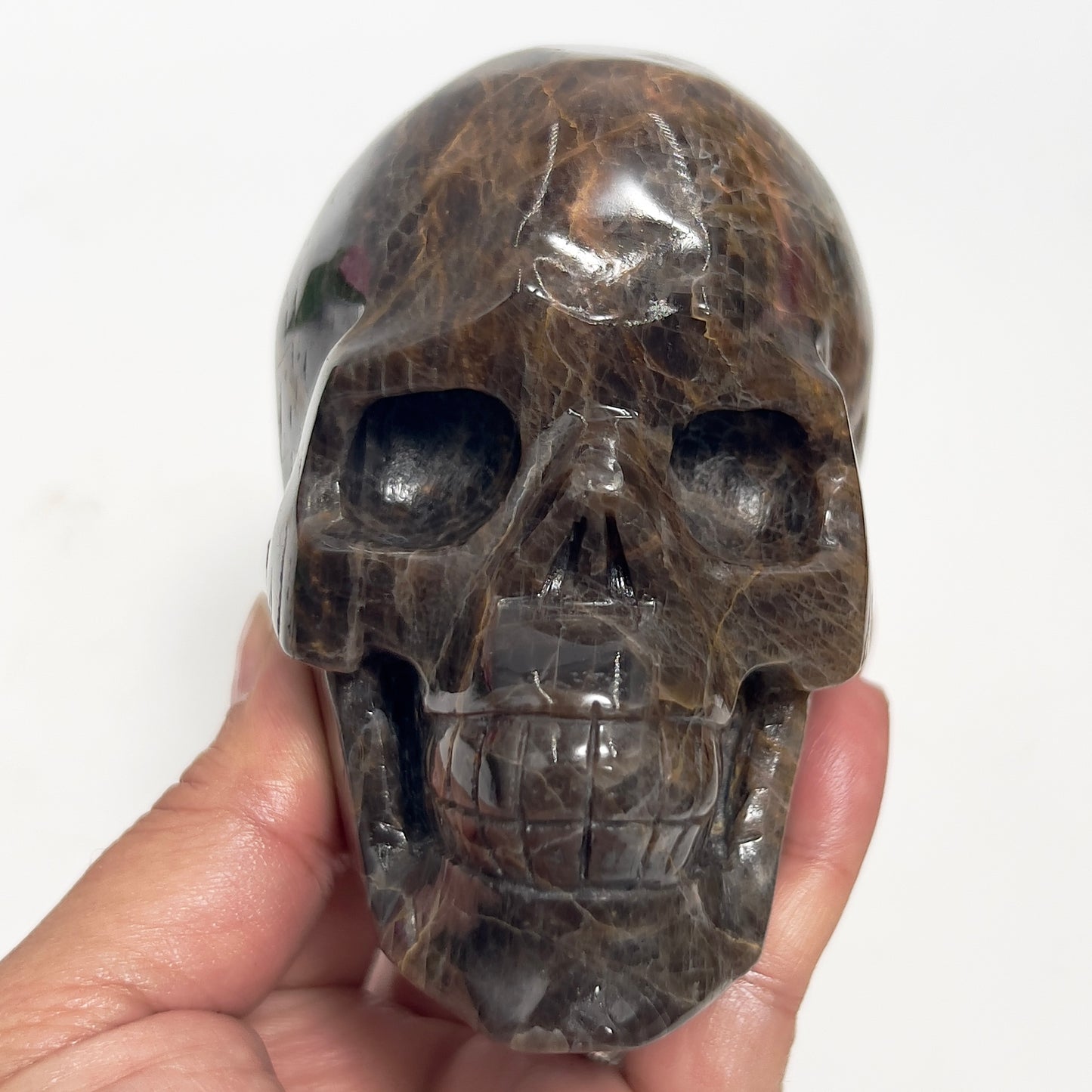 Black Moonstone Skull Healing Crystal Carving 734g