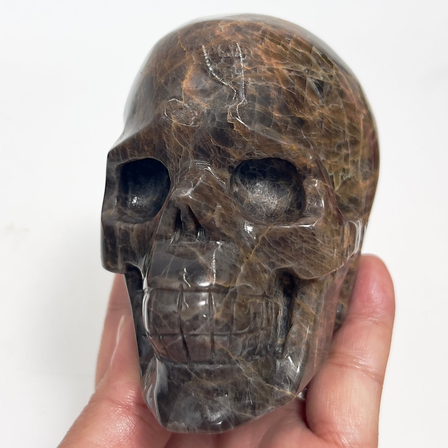 Black Moonstone Skull Healing Crystal Carving 734g
