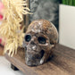 Black Moonstone Skull Healing Crystal Carving 734g