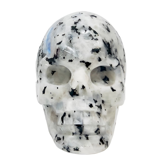Rainbow Moonstone with Black Tourmaline Skull Healing Crystal Carving 809g
