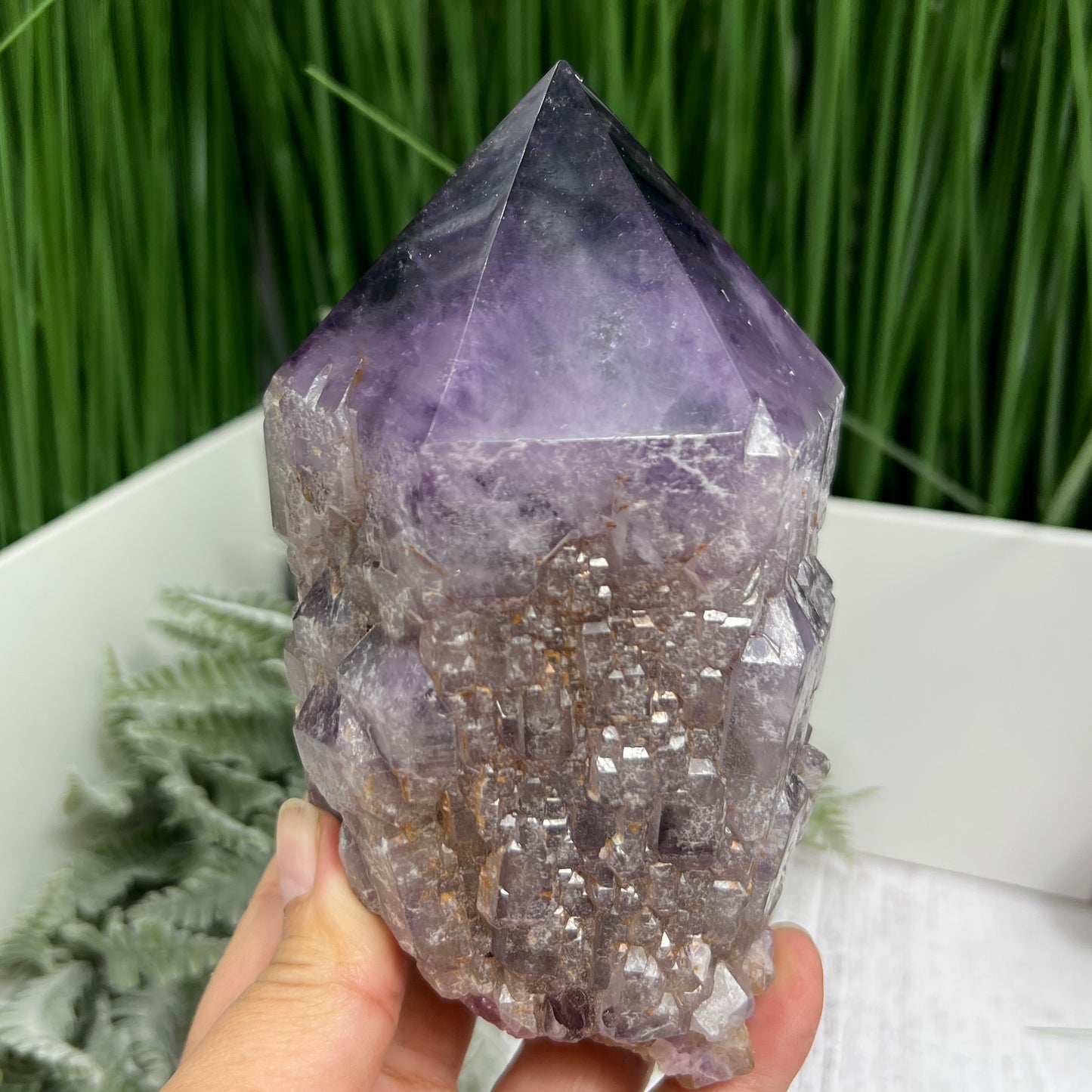 Amethyst Root Dark Purple with Stand High Quality Gemstone Raw Specimen 1102g