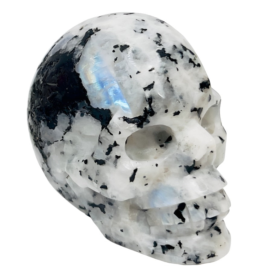 Rainbow Moonstone with Black Tourmaline Skull Healing Crystal Carving 809g