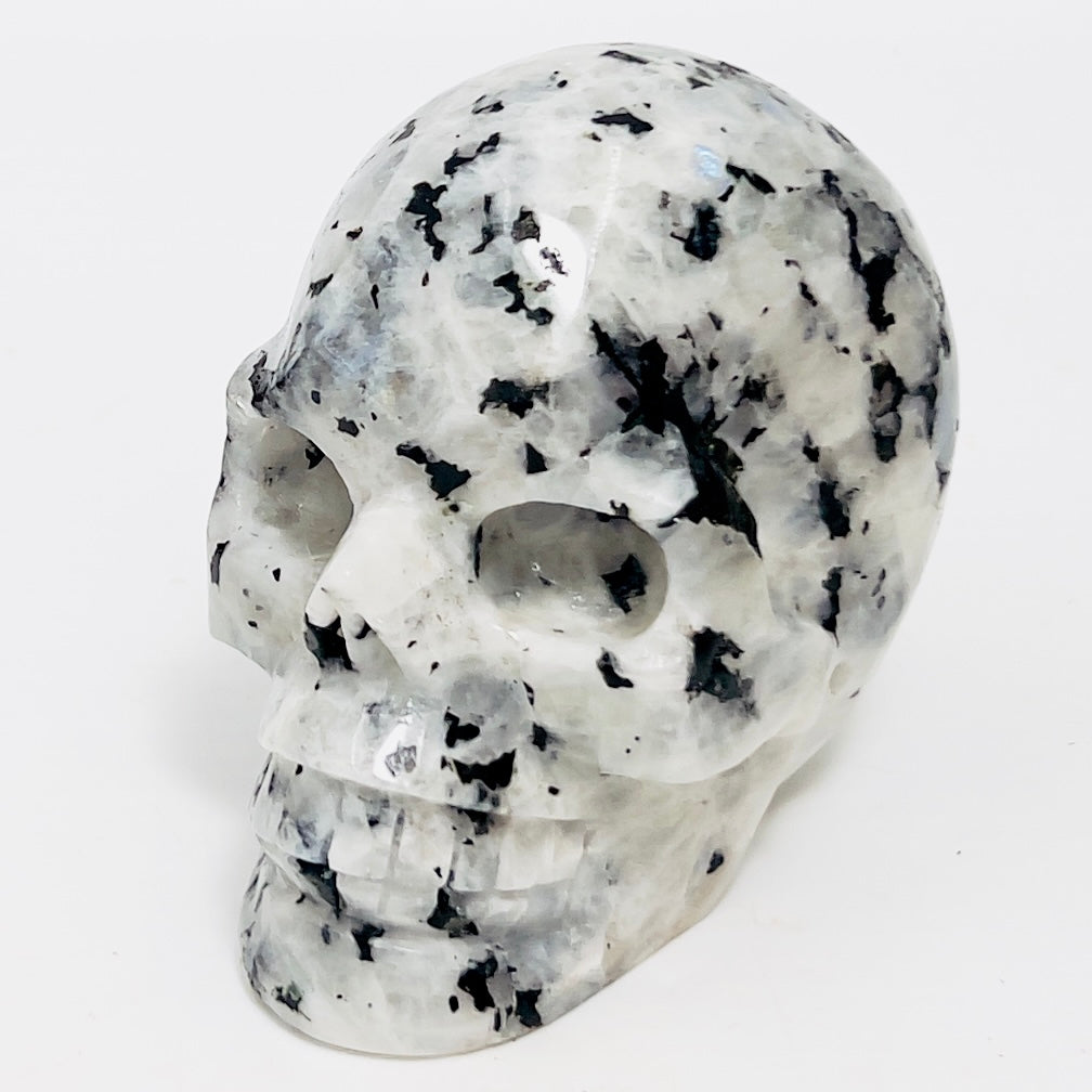 Rainbow Moonstone with Black Tourmaline Skull Healing Crystal Carving 809g