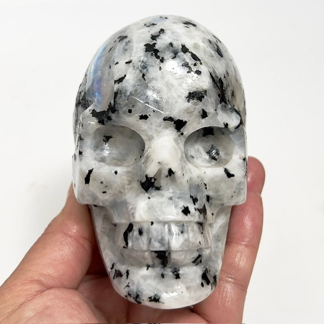 Rainbow Moonstone with Black Tourmaline Skull Healing Crystal Carving 809g