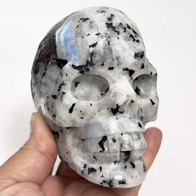 Rainbow Moonstone with Black Tourmaline Skull Healing Crystal Carving 809g