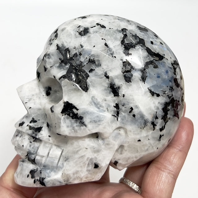 Rainbow Moonstone with Black Tourmaline Skull Healing Crystal Carving 809g