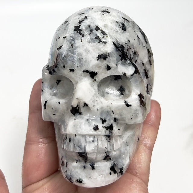 Rainbow Moonstone with Black Tourmaline Skull Healing Crystal Carving 809g