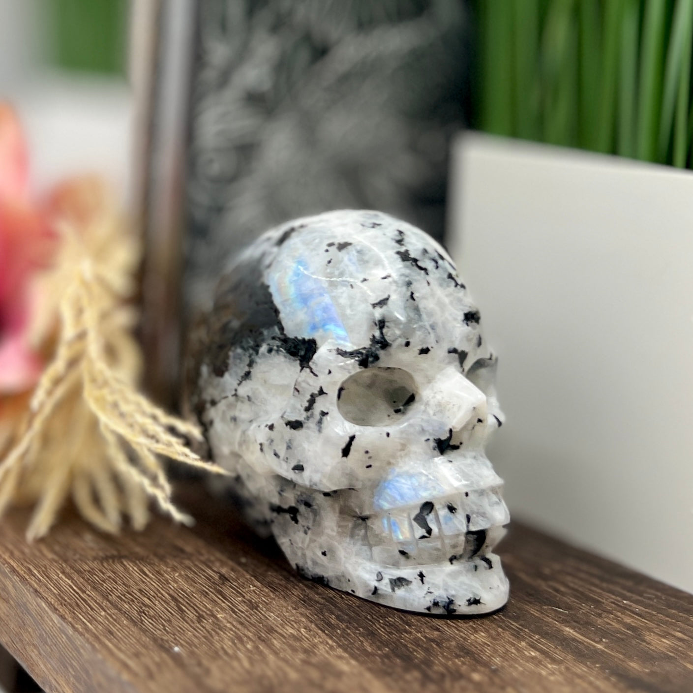 Rainbow Moonstone with Black Tourmaline Skull Healing Crystal Carving 809g