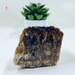 Amber Calcite Specimen Natural Raw Specimen Crystal YOU CHOOSE