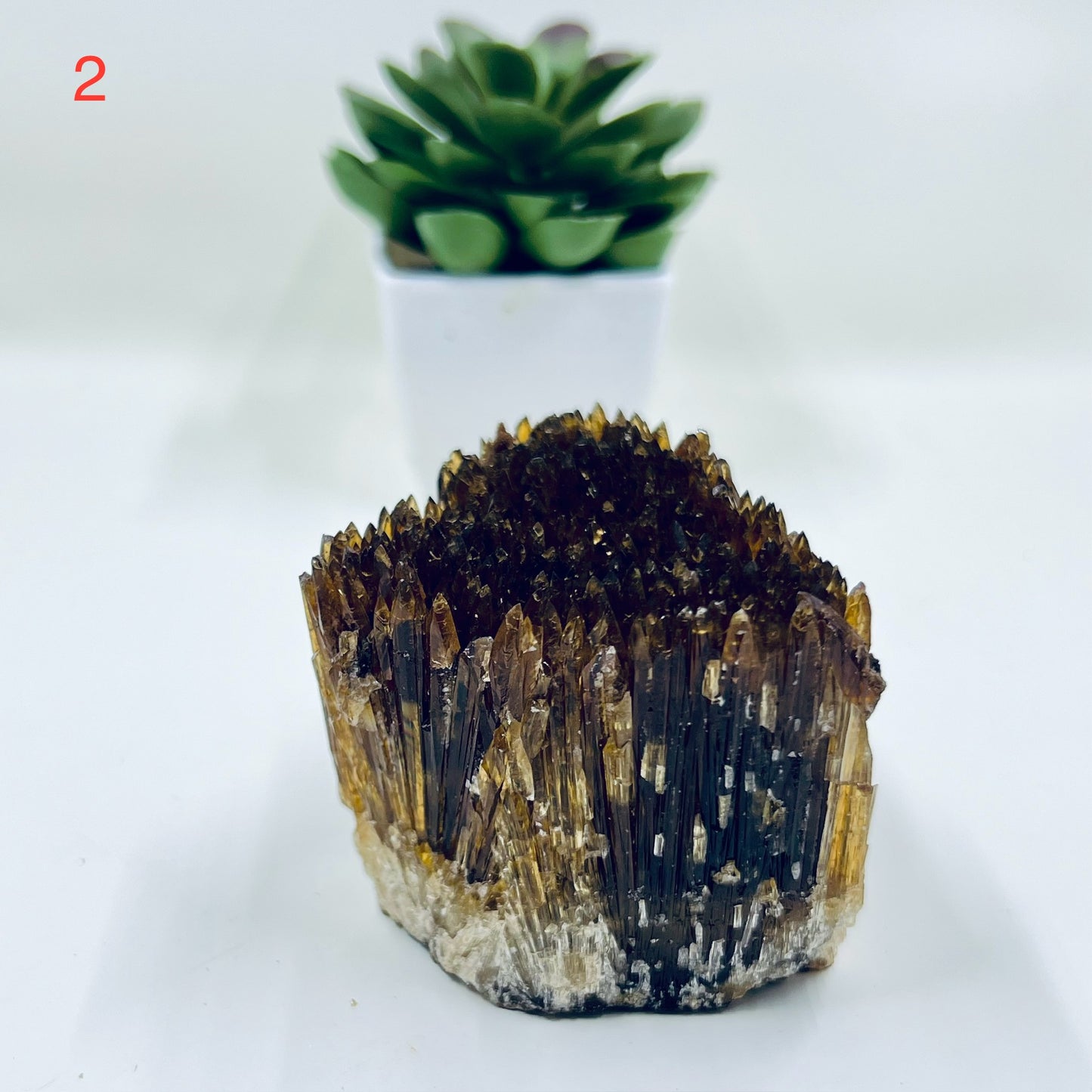 Amber Calcite Specimen Natural Raw Specimen Crystal YOU CHOOSE