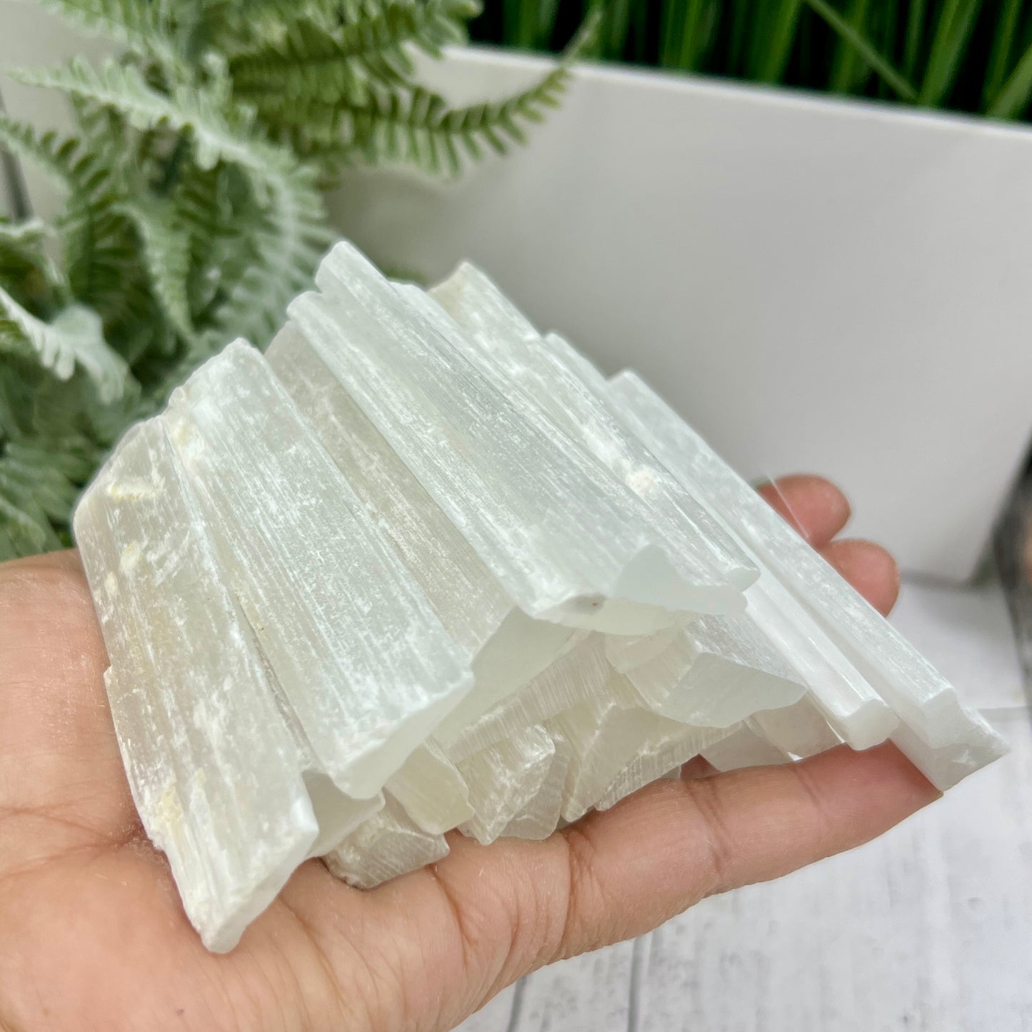 Satin Spar Selenite Moroccan Raw Sticks Wands Crystals 20 sticks 495g 8-9cm