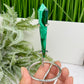 Malachite Wand with Stand Crystal 32g 91mm