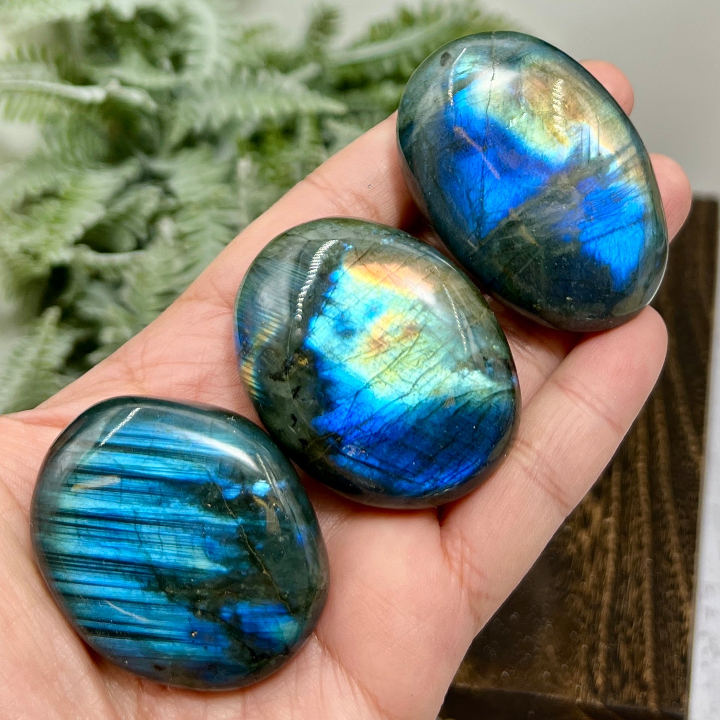 Labradorite Palm Stones Crystal Meditation Worry YOU CHOOSE