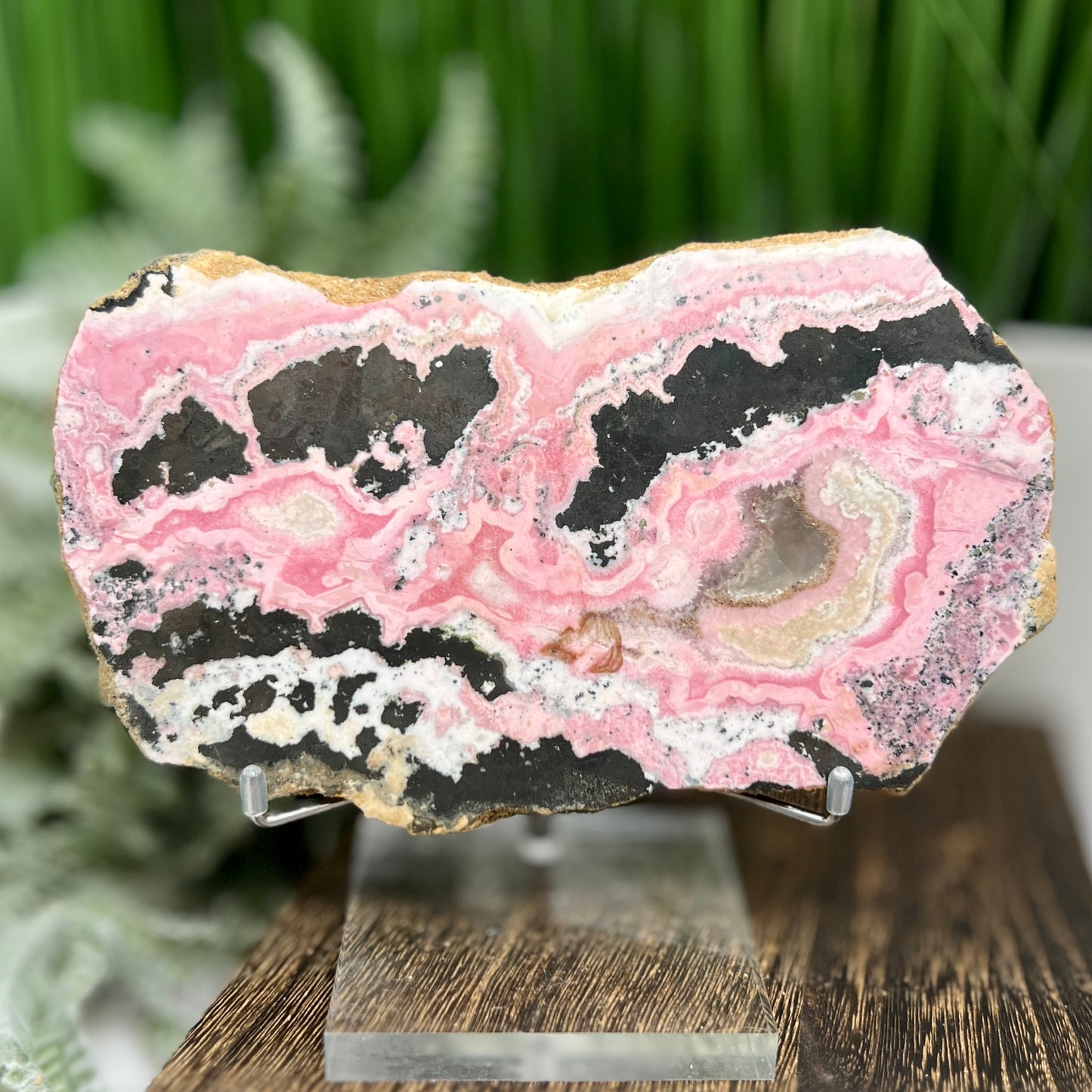 Peruvian Rhodonite Slice Slab with Stand Compassion Emotional Balance Crystal 618g