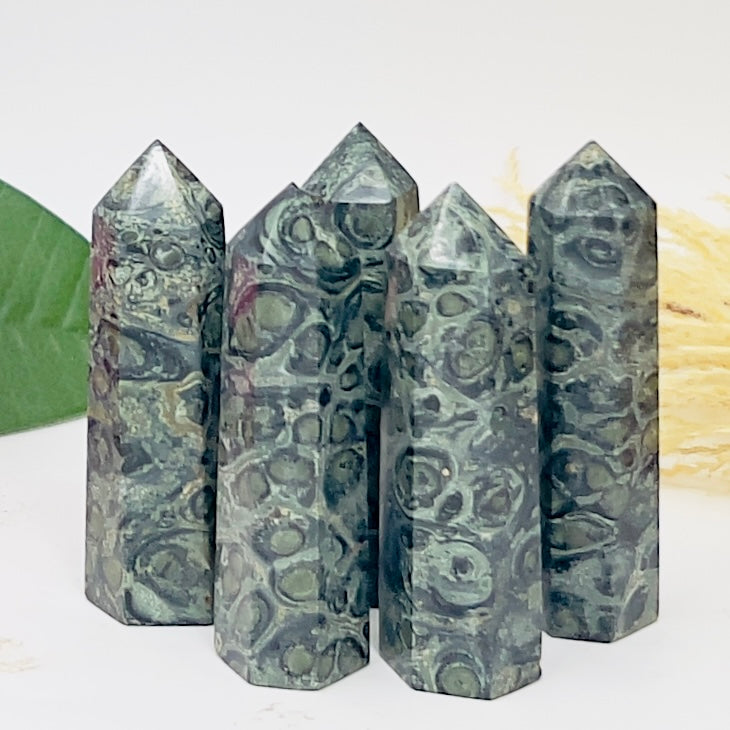 Kambaba Jasper Points Towers Crystal Generators YOU CHOOSE