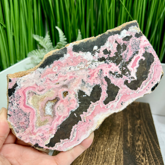 Peruvian Rhodonite Slice Slab with Stand Compassion Emotional Balance Crystal 538g