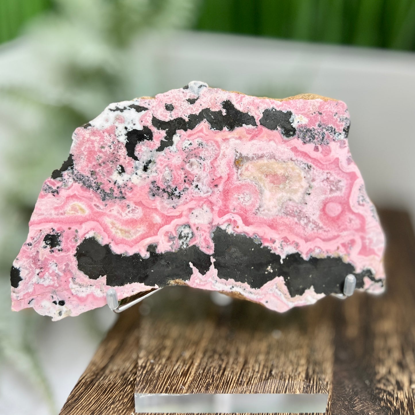 Peruvian Rhodonite Slice Slab with Stand Compassion Emotional Balance Crystal 442g