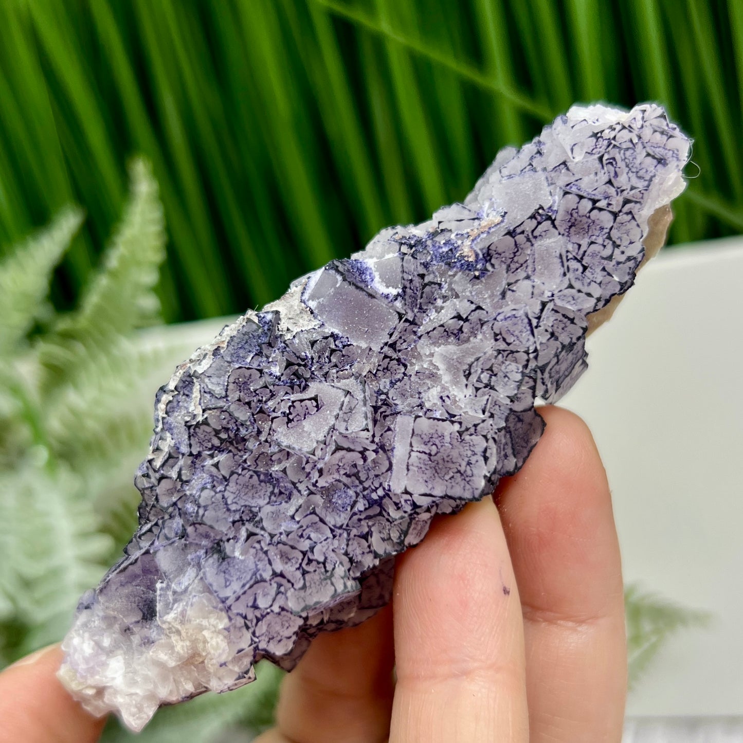 Purple Fujian Fluorite RARE Raw Mineral Specimen Healing Natural Crystal 144g